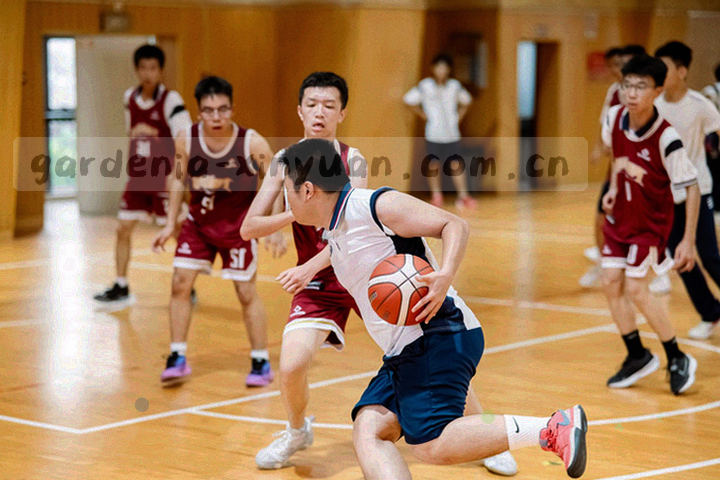 适配测试工作台上的测试设备、色卡与一片叶片